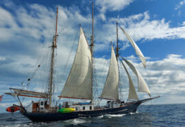 Blue-Clipper-underway-sails-up