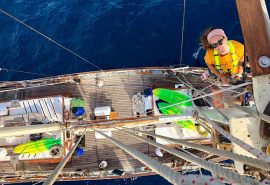 Blue Clipper up the mast