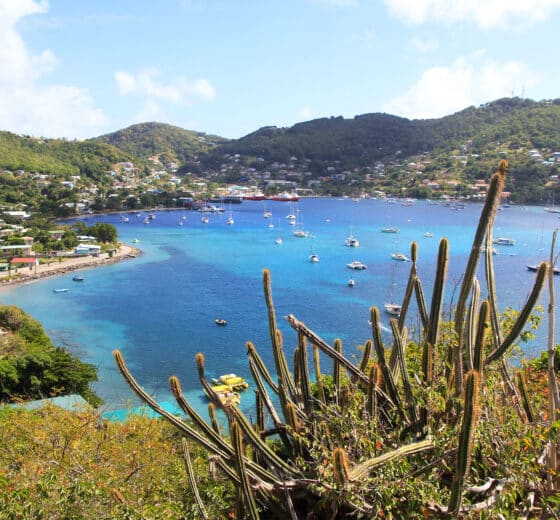 Blue Clipper view of Admiralty Bay, Bequia, St Vincent