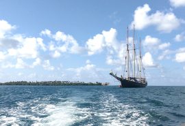 Blue Clipper Caribbean
