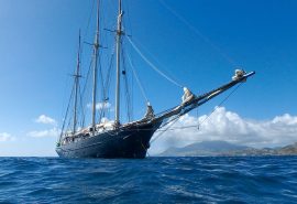 Blue-clipper-fullview