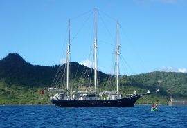 Blue-clipper