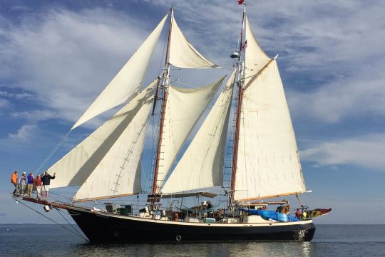 Bonnie Lynn Full sail