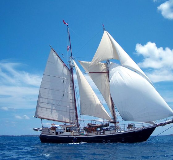 Bonnie Lynn full sails
