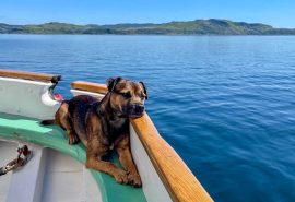 Bracken on the deck of Bessie Ellen