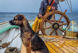 Bracken at the helm of Bessie Ellen