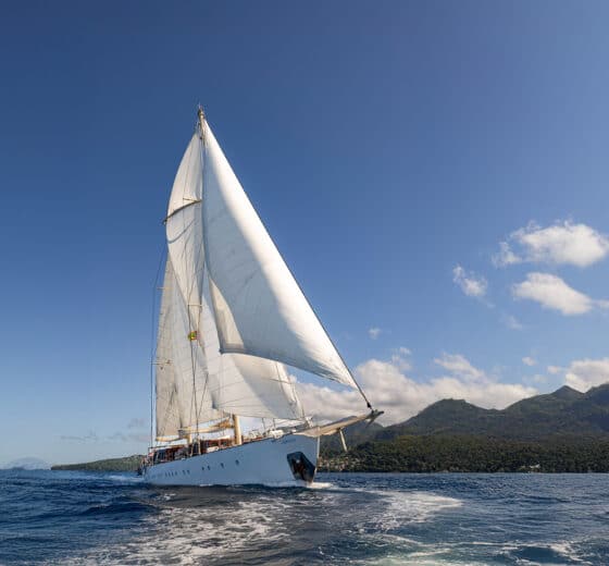 CHRONOS HOMEPAGE CARIBBEAN
