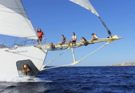 CHRONOS guests bow net