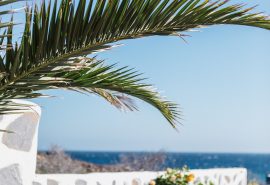 Canary Islands