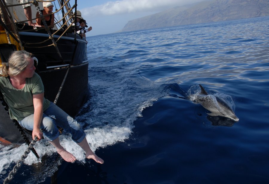 Canary Island sailing with dolphins