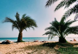 Cape Verde Beach