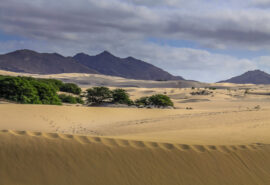 Cape Verde Boa Vista