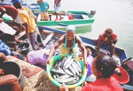 Cape Verde Oosterschelde