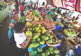 Cape Verde Oosterschelde market