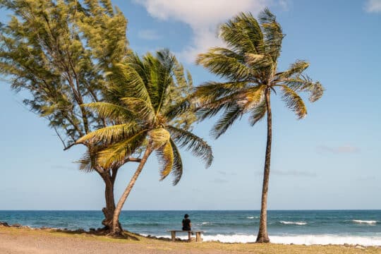 Caribbean Atlantic view beach on island of St Lucia
