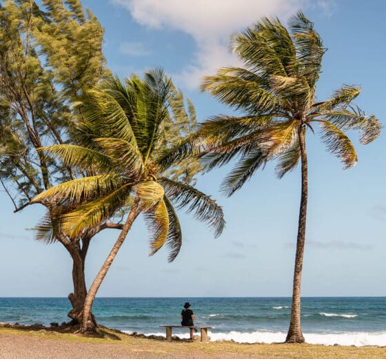 Caribbean Atlantic view beach on island of St Lucia