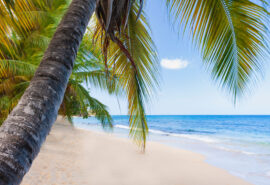 Caribbean grenada