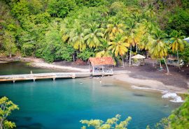 Caribbean Martinique