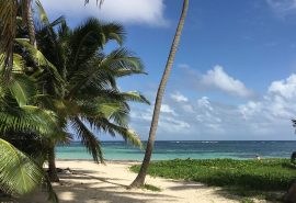 Pointe a pitre