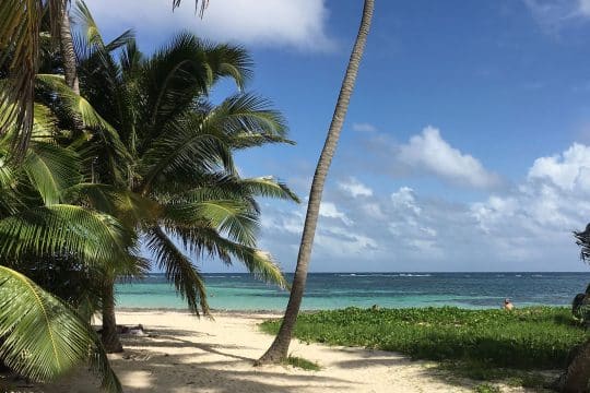 Pointe a pitre