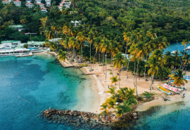 Caribbean Resized Twitter
