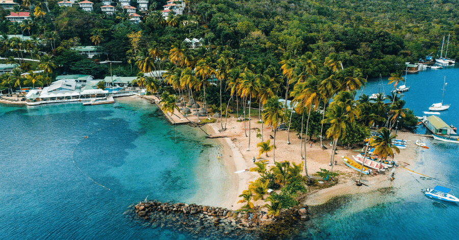 Caribbean Resized Twitter