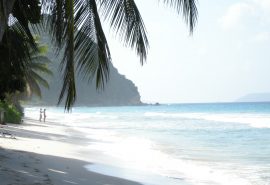 Caribbean beach