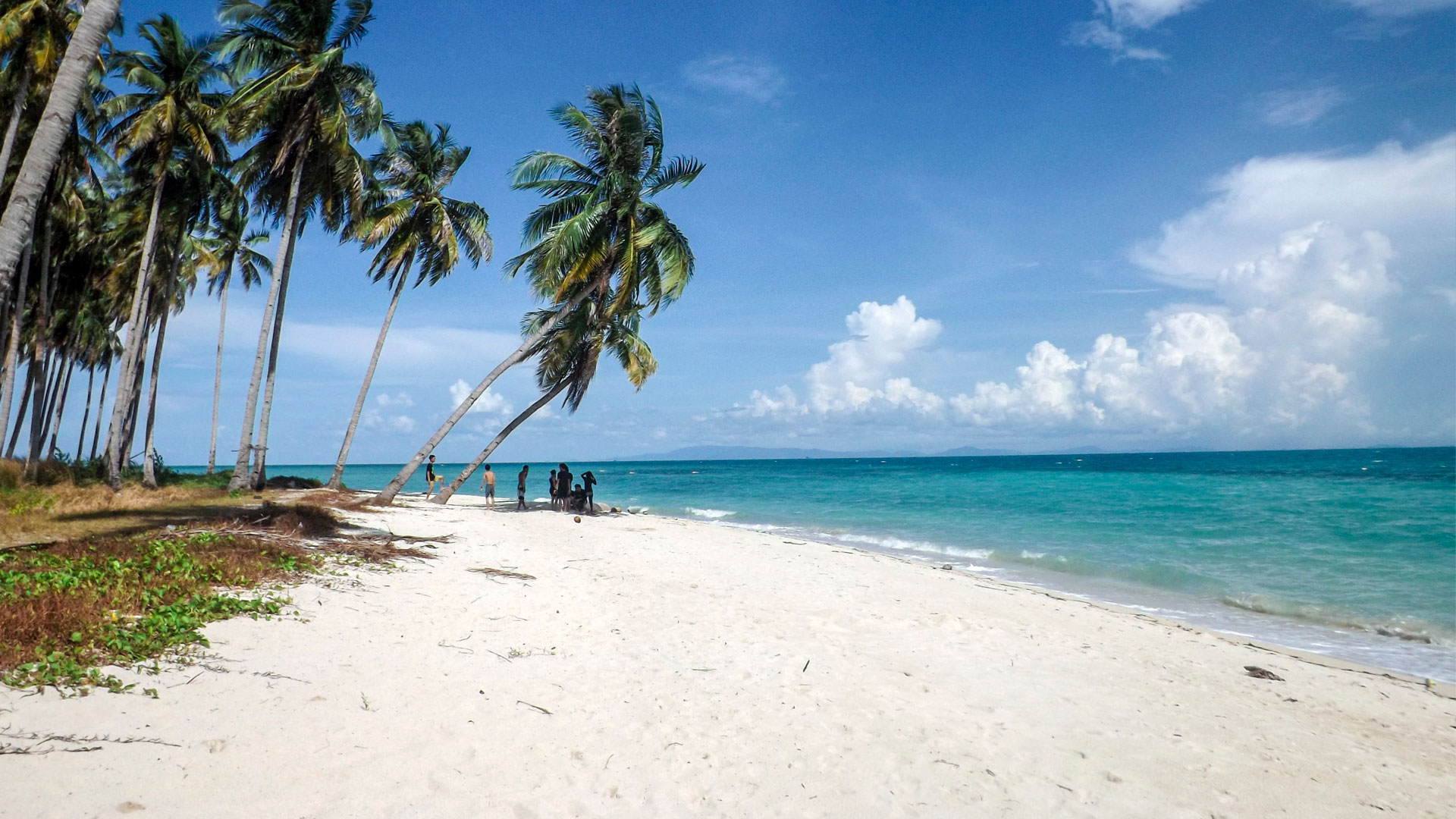 Caribbean Palm tree beach