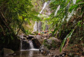 Caribbean guests at waterfall of Dark Falls, St Vincent