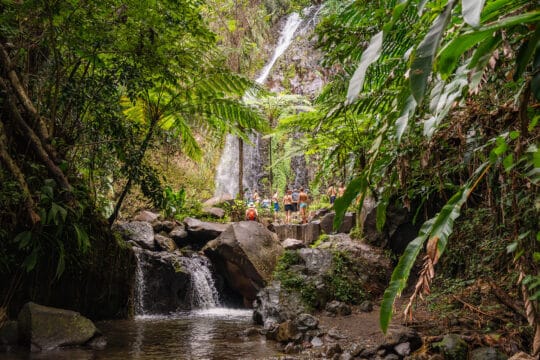 Caribbean guests at waterfall of Dark Falls, St Vincent
