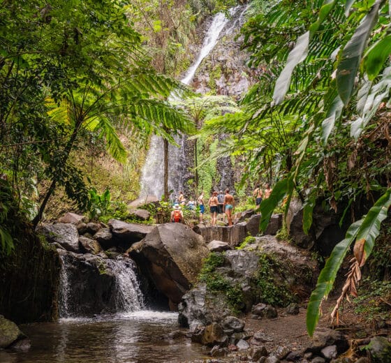 Caribbean guests at waterfall of Dark Falls, St Vincent