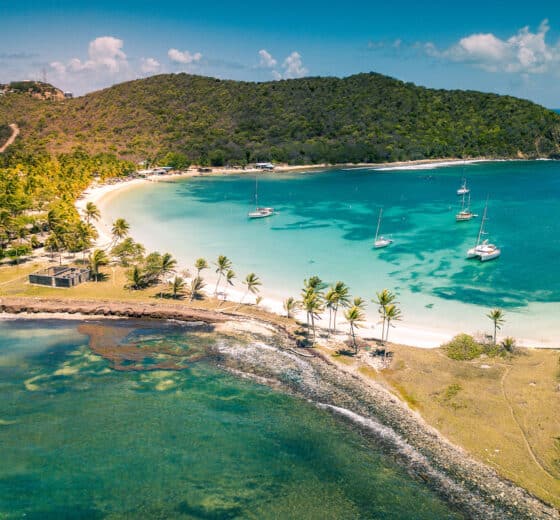 Caribbean view of boats anchored in bay in the Grenadines