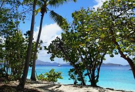 Caribbean waters