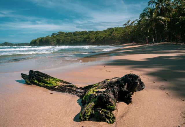 Costa Rica beach tropical island view sandy beaches