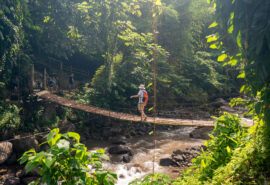 Crossing the bridge to Dark View Falls, St Vincent, Caribbean waterfall