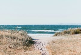 Denmark beach