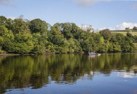 Devon River Dart