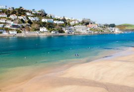 Devon Salcombe