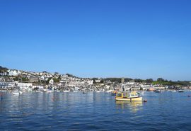 Devon Salcombe