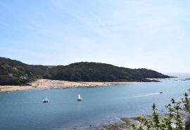 Devon Salcombe Beach