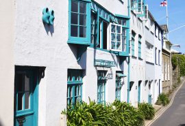 Devon Salcombe houses