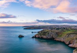 Devon berry Head