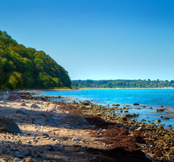 Eckernförde beach germany baltic sea