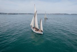 Escape sailing in Devon