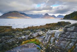 Fleur de Lys Skye