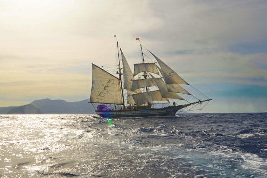 Florette Full sail sailing