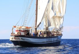 Florette Sailing