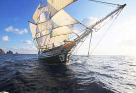 Florette Sailing from the bows
