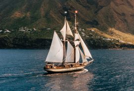 Florette Side on Sailing View