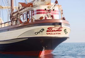Florette Transom